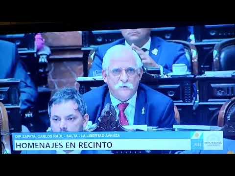 Homenaje al Capitan Cáceres   de Sesión de Diputados 19 de febrero de 2026. 