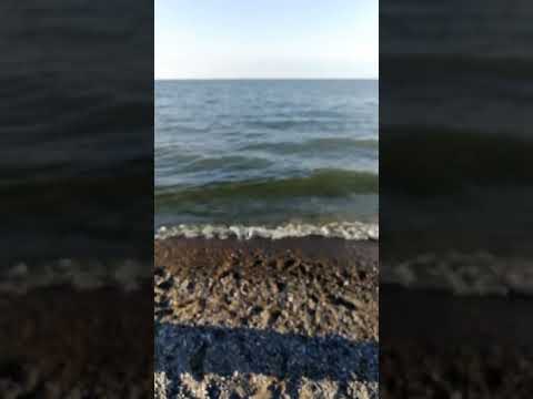 Beauty of the  🏖 🌊 Beach ⛱️ relaxation 😌