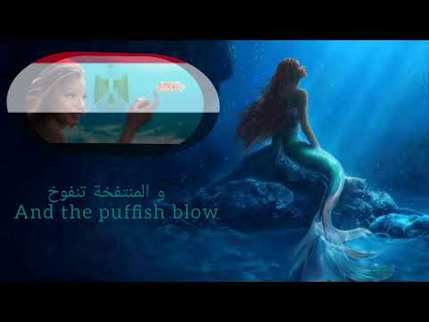 The little mermaid 2023 "Under the sea" (Egyptian Arabic) S&T