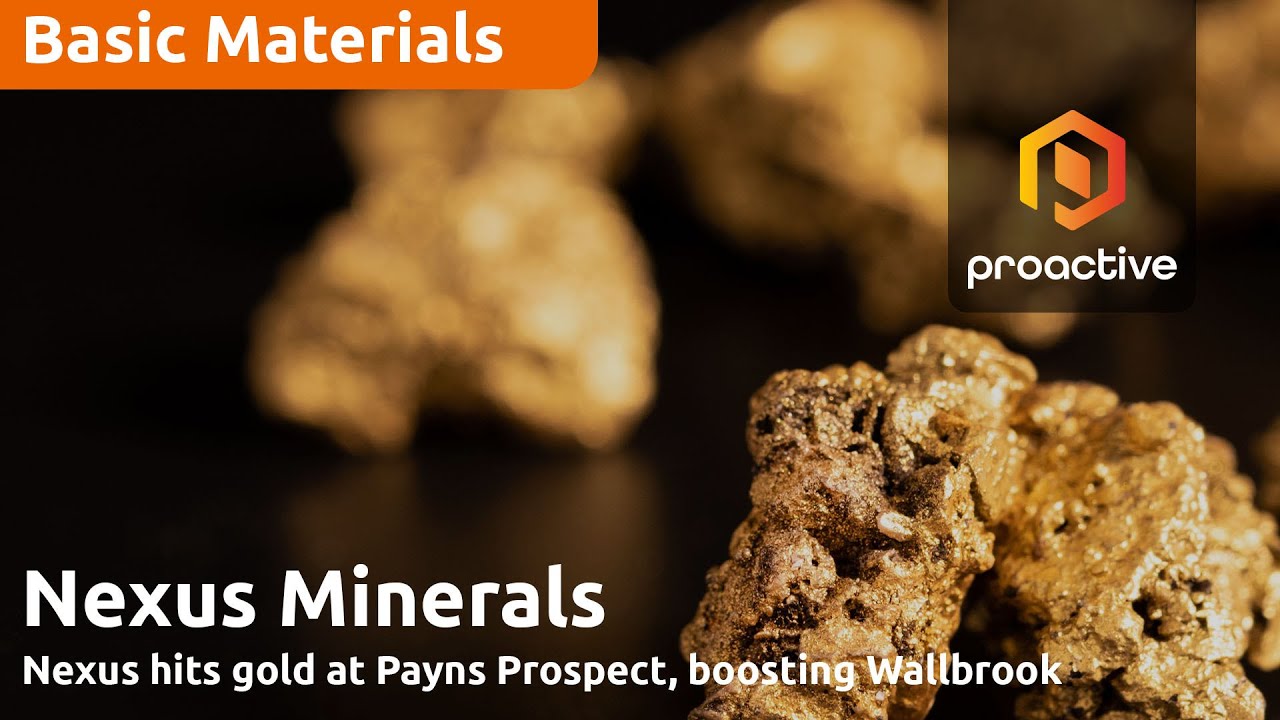 Nexus Minerals reports strong RC results at Payns