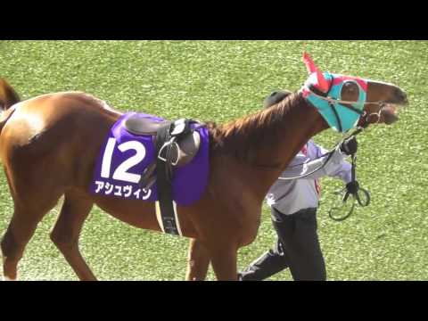 2015 12/26 第138回 中山大障害(Ｊ・ＧＩ) パドック 現地映像 アップトゥデイト