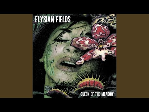 Cities Will Fall video thumbnail