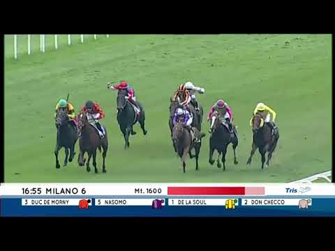 Premio Gran Criterium