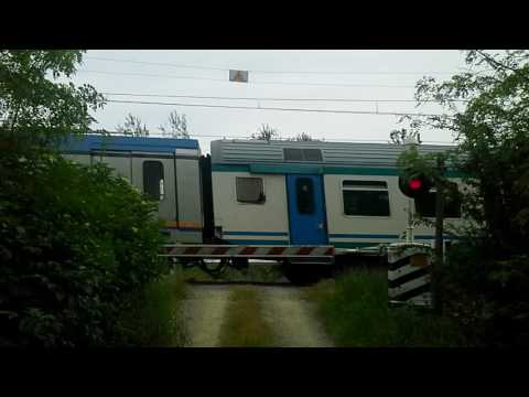 Passaggio a livello Cassine (AL), Fs64 - Level crossing - Spoorwegovergang