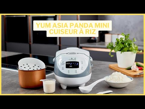 Yum Asia Panda Mini : ce cuiseur à riz vaut-il le coup ?