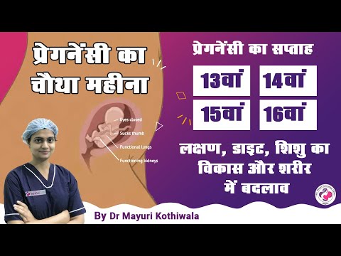 4th Month of Pregnancy, Week 13, 14, 15 & 16 in Hindi - Symptoms, Baby Development, Body Changes ...