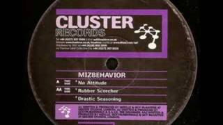 Cluster Records 15 - Mizbehavior - No Attitude