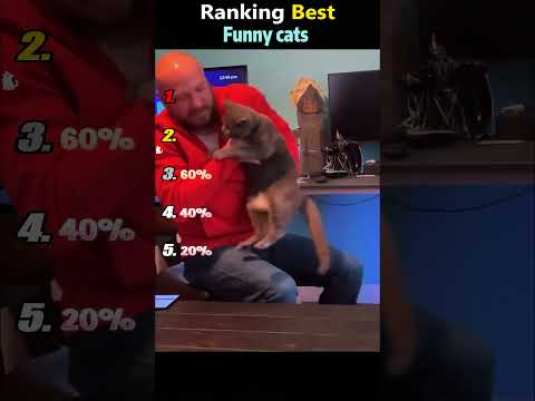 Por favor comparte con tus amigos #pov #herramientas #sketch #gracioso #actuación #historia