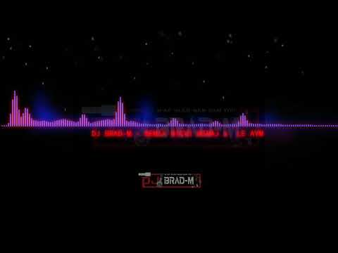 NICKI MINAJ FEAT LE AYM - REMIX BY DJ BRAD-M