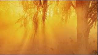 joni mitchell - come in from the cold