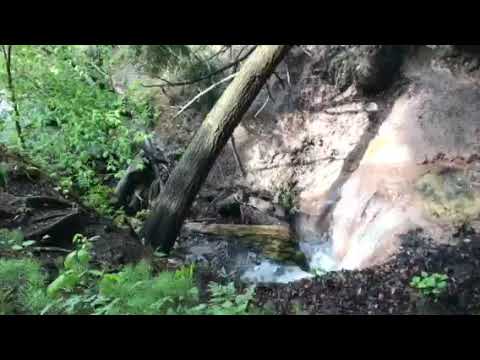 Little waterfall Manistee River Trail