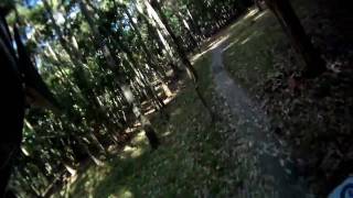 preview picture of video 'Giant Trance X0,Riding Blairwitch at Lysterfield Park!'