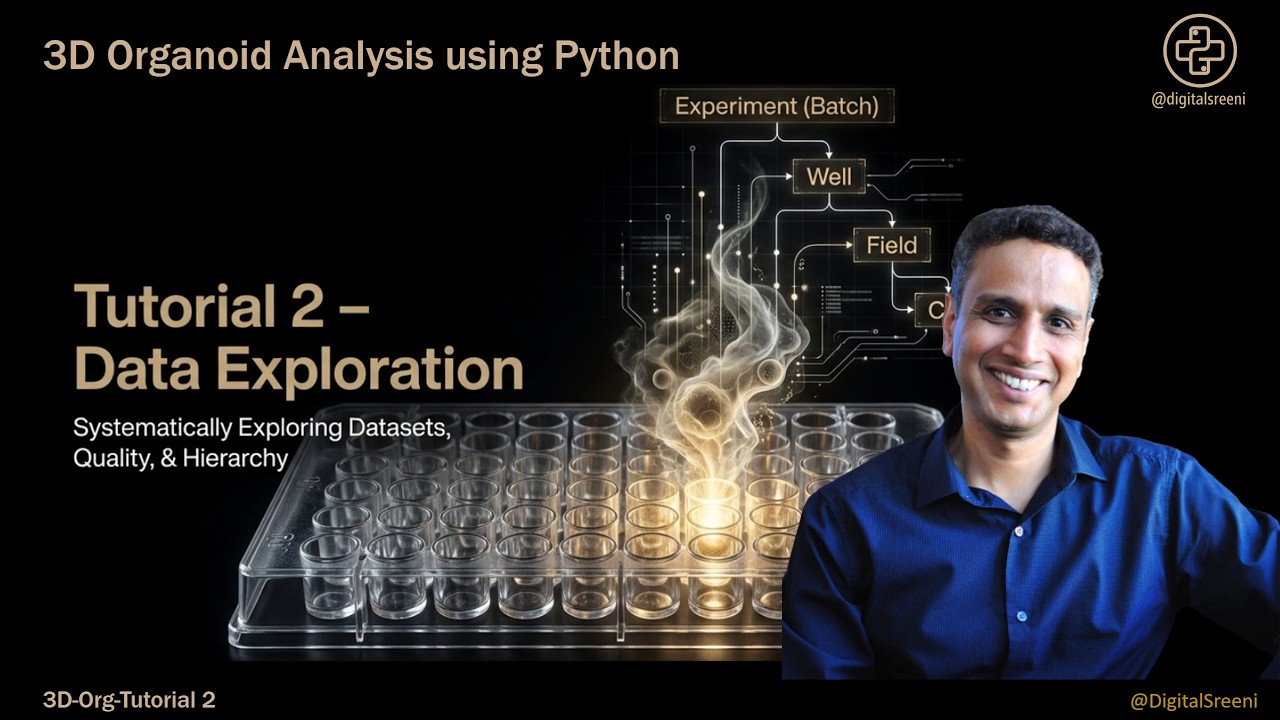 3D Organoid Analysis - Tutorial 2 - Data Exploration