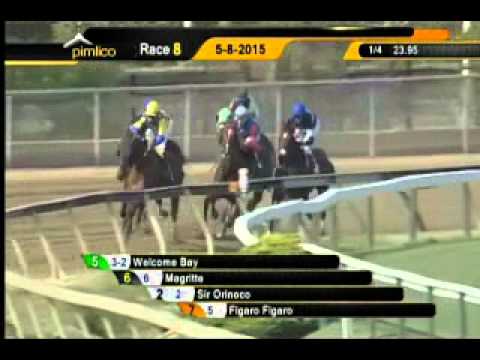 Pimlico 05/08/15 race 8