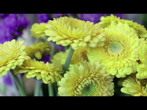 Flower Workshop by Zarina - event design  סדנאות עיצוב פרחים ואירועים