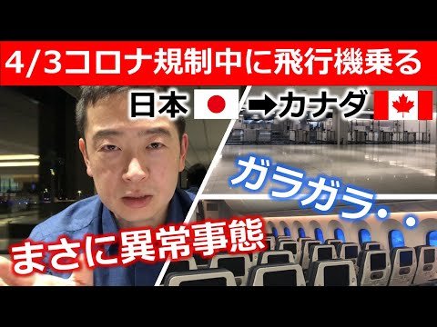 飛行機内でコロナウイルスが蔓延: 飛行機に乗るのはどのくらい危険ですか?