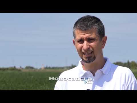 Grinje napadaju soju