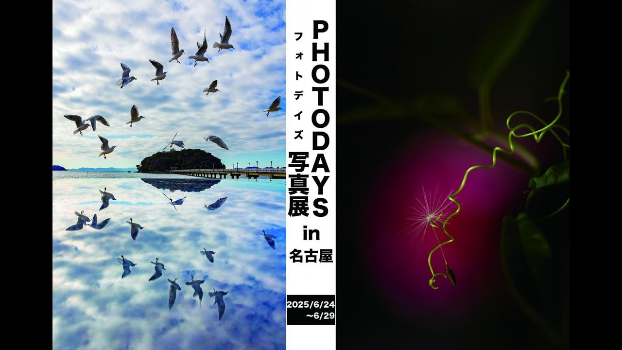 【講評ライブ配信】第5回PHOTODAYS写真展in名古屋