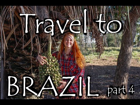 Travel to Brazil - Part 4. Corumba - Bolivian Border - Miranda