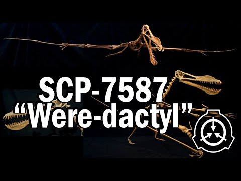 SCP-7587 "Were-Adactyl" Pending [SCP Document Reading]