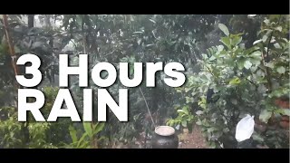 3 Hours Rain.  Harnessing the Beauty for Productivity and Peace