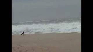 As Ilhas dos Açores (Madredeus)