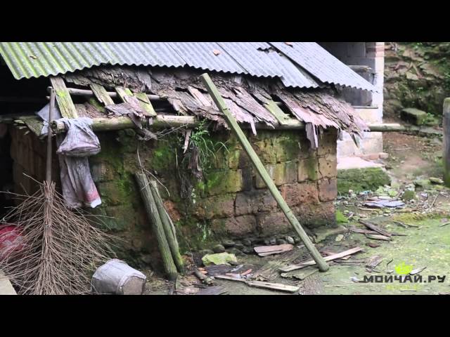 Путешествие за Хэй Ча в провинцию Хунань - Аньхуа и Иян. Hunan. Anhua, Dark Tea