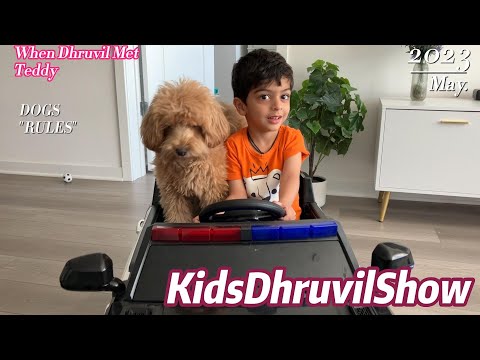Adventures with Dhruvil: A Dog's Journey!!!! #dog #dogs #doglover #teddy