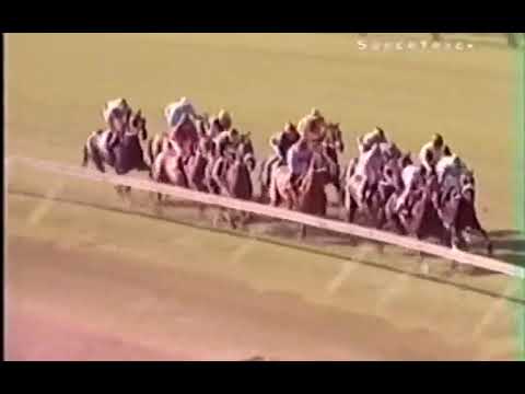 Spook Express SA Fillies Guineus 1600