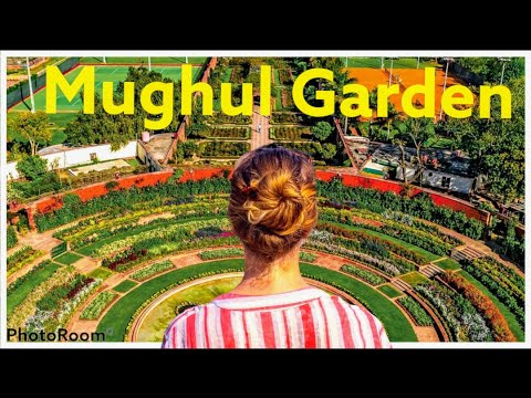 Mughal Garden