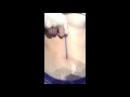 Navel Torture Loch Ness Monster In The Navel Cave