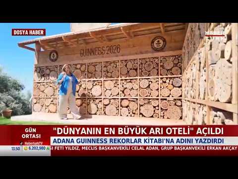 HABERTÜRK | Dünyanın En Büyük Arı Oteli