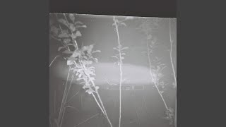 Cover art for poison tree (slowed)