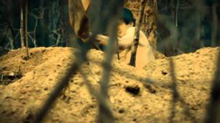 Weesp   Livan official music video