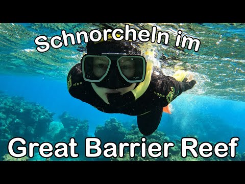 Outer Reef Tour from Cairns - Costs, Experiences and Underwater Videos - World Travel Vlog 007