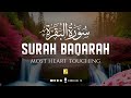 Surah Al Baqarah سورة البقره | THIS WILL TOUCH YOUR HEART إن شاء الله | Zikrullah TV