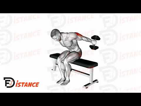 Exercice Kickback - Extensions des triceps assis