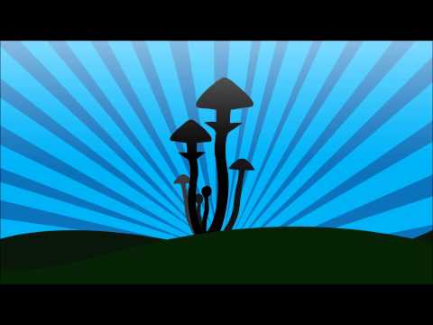 Jani Łapa   Terefere