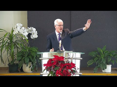 Siniša Maljik – 6 – Jasna vika