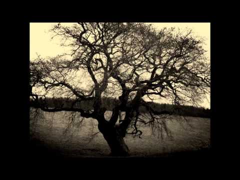 Sorrow Plagues - It Will Never End (Full Album) Atmospheric Black Metal