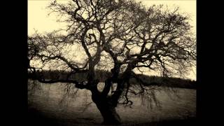 Sorrow Plagues - It Will Never End (Full Album) Atmospheric Black Metal