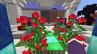 マイクラ　マインクラフト　クリスマス