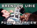 The Puppy Interview With Brendon Urie Of Panic! At The Disco