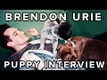 The Puppy Interview With Brendon Urie Of Panic At The Disco
