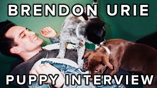 Video thumbnail of "The Puppy Interview With Brendon Urie Of Panic! At The Disco"