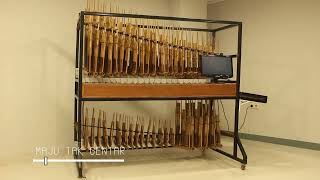 CITRA (Chess Interface & Tactical Robotic Assistant)