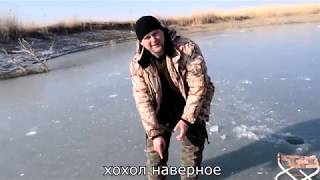 Ловля сазана зимой.