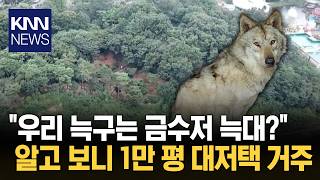 늑구 오월드 거주지