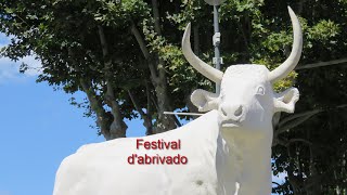 preview picture of video 'festival d'abrivado de Mauguio 2014'
