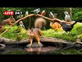 24 7 LIVE CAT TV NO ADS Squirrel And Bird Watching Unlimited Nature Fun For Everyone